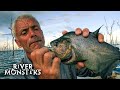 River Monsters Full Episode Season 1 Episode 1 Piranha