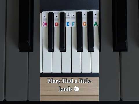 Mary Had a Little Lamb Piano Performance Video