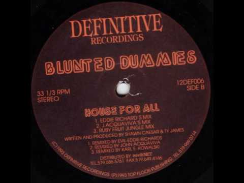 Blunted Dummies ‎ House for All Ruby Fruit Jungle Mix