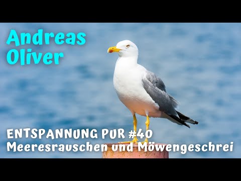 Meeresrauschen mit Möwen im Nordseebad Carolinensiel-Harlesiel - Wellenrauschen und Möwengeschrei