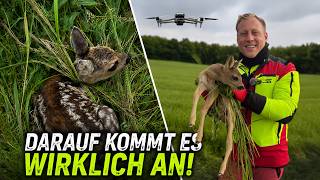 DAS brauchst du wirklich! Kitzrettung mit Wärmebilddrohne von DJI (Matrice 4TD)