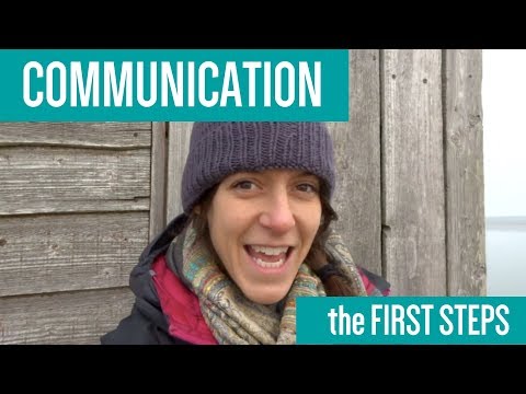 What is Intensive Interaction?