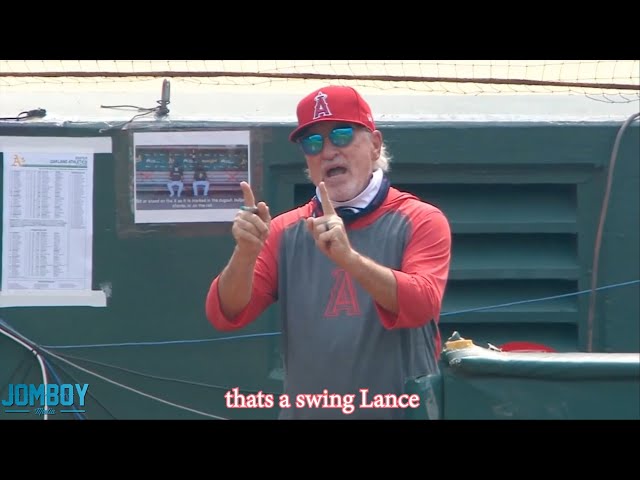 California Cool Joe Maddon gets ejected for arguing a check-swing call, a breakdown