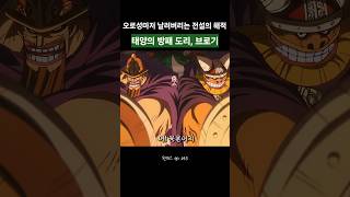 오로성마저 날려버리는 전설의 해적 도리 브로기 ㄷㄷ