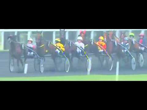 Prix De Belgique 2013_Yarrah Boko 1:13,3_P. Vercruysse