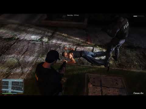 Grand Theft Auto V LSPDFR - Bug/Glitch Ped