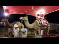 Kiana And Her Brother Riding On A Camel At The Fair Last Year