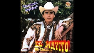 El Mayito de Sinaloa - El Sinaloense Y El Kora