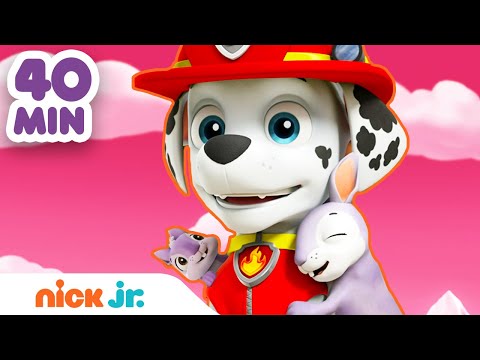 Capa de Patrulha Canina | 40 MINUTOS da Patrulha Canina salvando animais superfofos! | Nick Jr. em Português