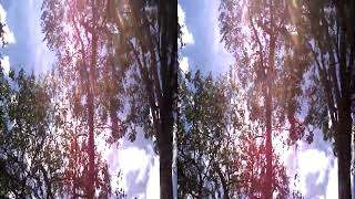 preview picture of video 'Munnar Trip : Marayoor Sandalwood forest (3D, CC BY)'