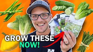 Plant Your Fall Garden NOW Before It's Too Late!