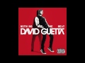 David Guetta - Night Of Your Life (Audio)