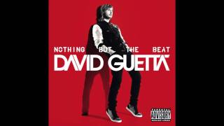 David Guetta - Night Of Your Life (Audio)