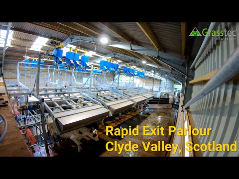 Rapid Exit in the Clyde Valley, Scotland