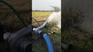 Download lagu Diesel Air Dongfeng 10 PK Pompa Keong 4 Dim #dieselairsawah mp3 Download lagu Diesel Air Dongfeng 10 PK Pompa Keong 4 Dim #dieselairsawah mp3
