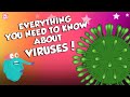 What Is A Virus? | Everything You Need To Know About Viruses | Dr Binocs Show | Peekaboo Kidz