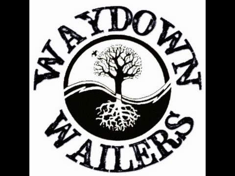 Waydown Wailers - Whiskey and Cornbread in HD with interviews