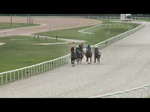 2020.08.23. 09. futam - MEZŐHEGYESI DÍJ (II.kat.) (szintetikus pálya)