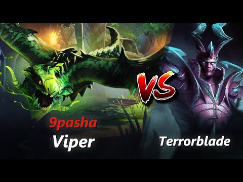 9pasha offlane Viper vs Terrorblade/Dazzle | First 10 minutes