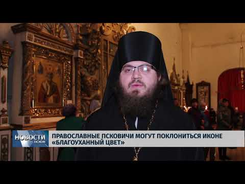 Новости Псков 15.11.2019 / Православные псковичи могут поклониться иконе «Благоуханный цвет» 