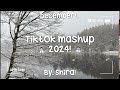 Tiktok Mashup 2024 ️