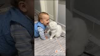 اطفال يلعبون مع قطط