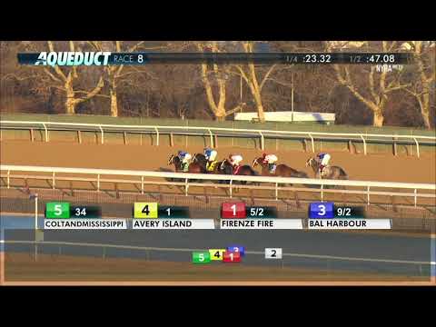 Avery Island - 2018 - The Withers Stakes (Grade III)