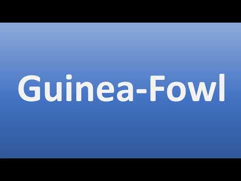 How to Pronounce Guinea-Fowl