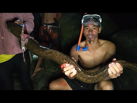 Part 2 - ISLA NG KASILI o PALOS o EEL ang dami nila