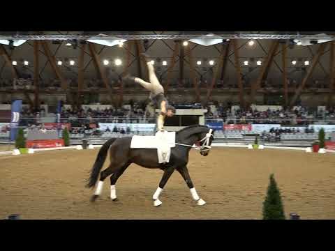 Stefanie Hagele Freestyle