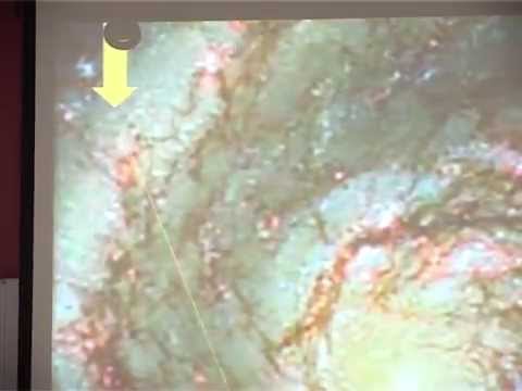 Michał Heller, Czas człowieka i czas kosmosu. cz.5/5