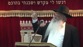 סוד ההצלחה של האדם | הרב דניאל זר