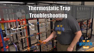 Steam Traps | Thermostatic Traps Troubleshooting - Weekly Boiler Tips