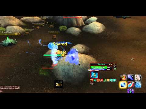 Rank 1 Venruki Mage Blizzcon PVP 5.4 (2800 cr) swag