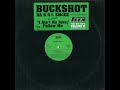 Buckshot I Ain T No Joke Follow Me Funkmaster Flex Video Version