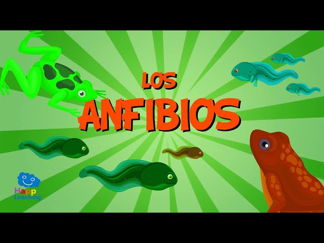 Vídeo relacionado con Libro para niños sobre anfibios de América del Norte: Gran libro infantil sobre anfibios, ranas, sapos y salamandras del norte