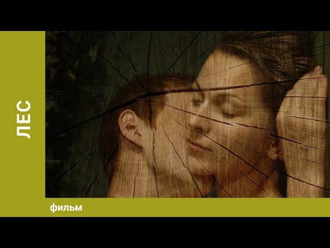 Лес. Драма. Лучшие фильмы