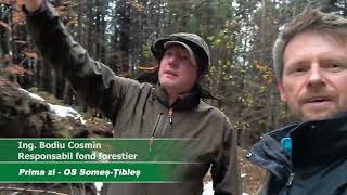 Control superficial al Gărzii Forestiere în Munții Rodnei