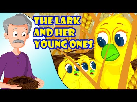 The Lark And The Farmer Story | Short Stories For Kids in English | Story Time For Kids