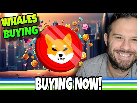 Shiba Inu Coin | SHIB Whales Are Loading Up As The Price Of SHIB Makes Huge Moves!