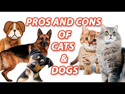 Which Pet is Better |  Top 10 Pros and Cons of Cat vs Dog 🐱🐶