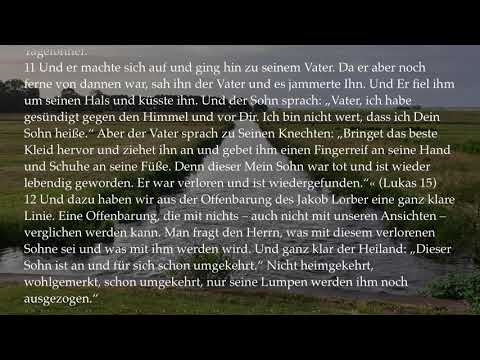 Anita Wolf - Vortragsmappe 2. Das Luziferproblem.