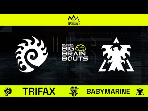 StarCraft 2: Trifax VS BabyMarine | BASILISK Big Brain Bouts #8