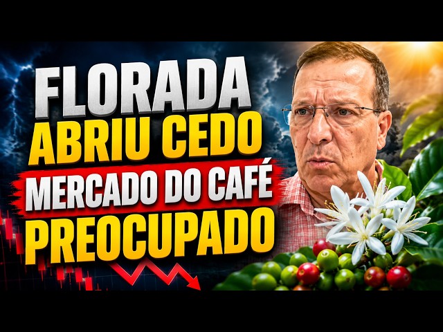 Florada abriu cedo: Por que o mercado do café está tão preocupado?
