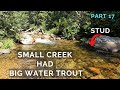 Small Creek Had Big Water Trout 9week Truck Camping P17