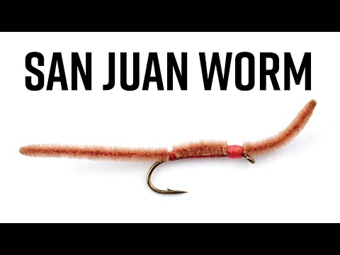 San Juan Worm