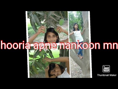 Hooria a gai apne nankoon