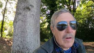 My Final Trip Fishing for the Night Feeders: + Norton BSA & Royal Enfield
