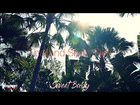 국도변의 한적한 카페에서 ㅣ Sweet Baby - Bothnia feat. Cody Francis