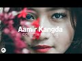 Aamir Kangda Come In My Arms Arabic Instrumental Version